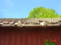 DSC03646