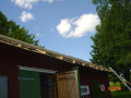 DSC03650