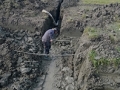 Drainage 3