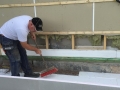 20150714_165053620_iOS