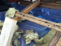 20150724_170741862_iOS